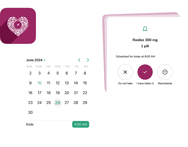 About the Project