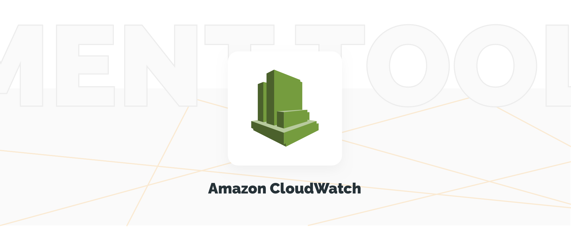 Overview of AWS Management Tools: What to Choose for Your Business